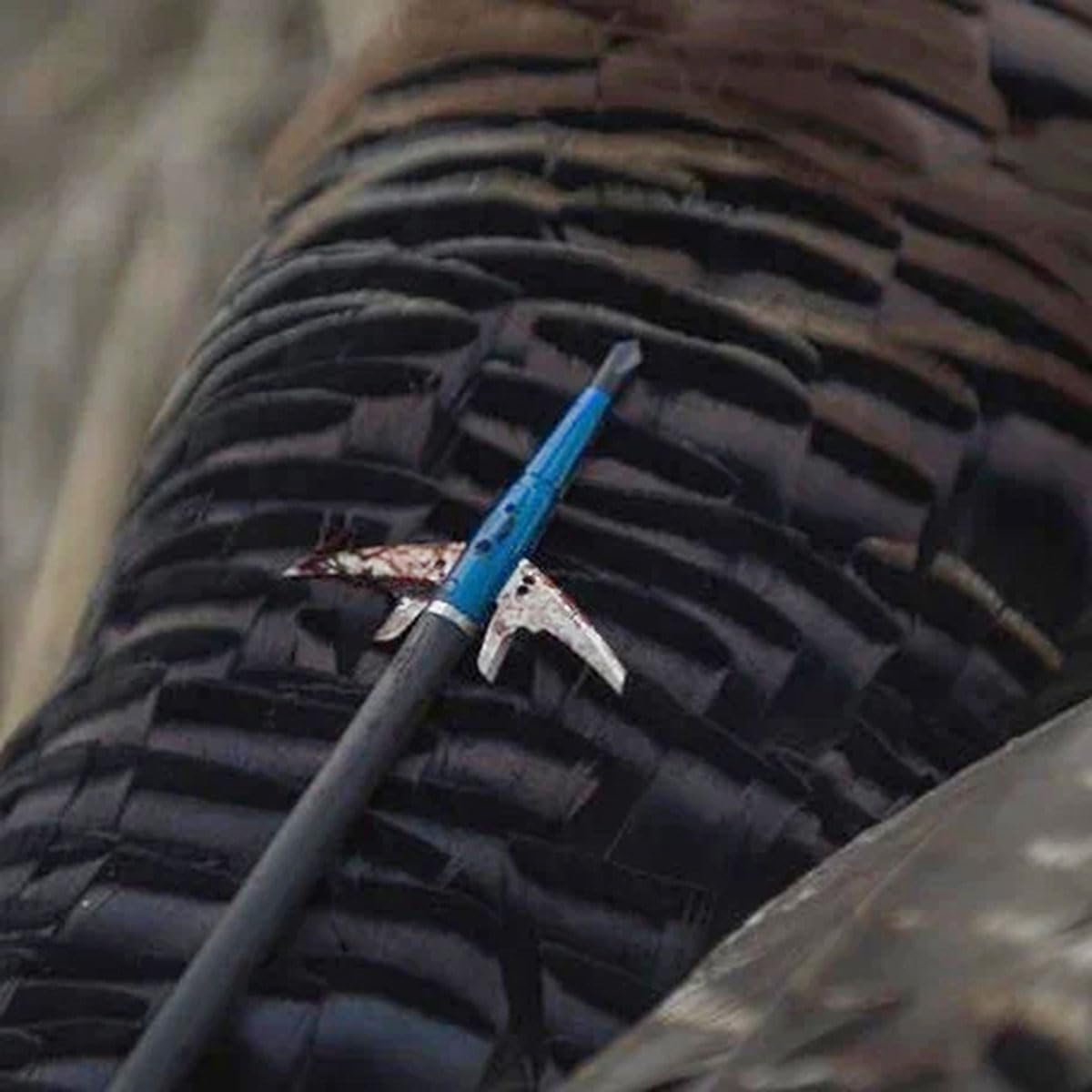 Swhacker Levi Morgan Series 2-Blade Broadhead 2" 100 Grain Pack of 3